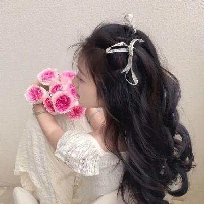 纸钞屋:柏林